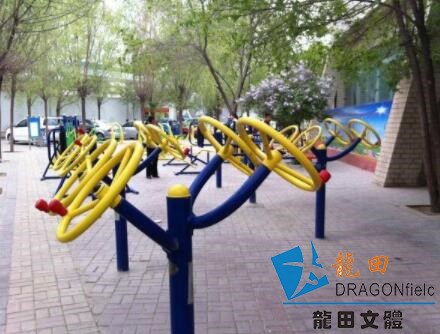 农村居民对兰州体育设施的诉求有哪些？这些诉求符合实际情况吗？