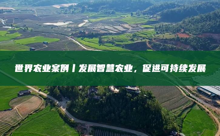 一、贷款额度普遍上调